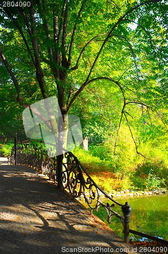 Image of Park in spring time