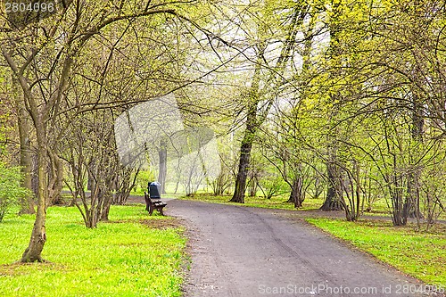 Image of Spring time in park