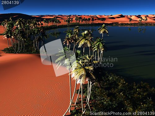 Image of African oasis