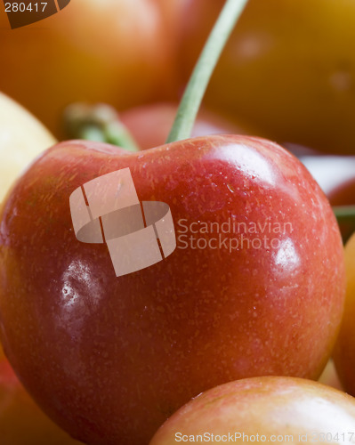 Image of Close Up of a Rainier Cherry