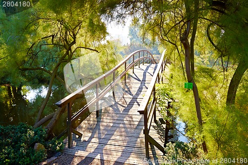 Image of Japanese garden