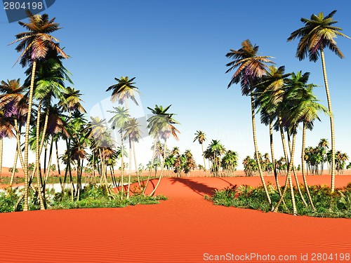 Image of African oasis