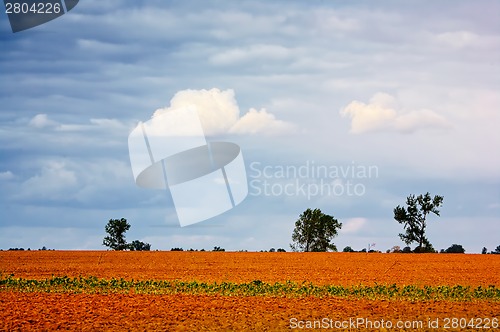 Image of Typical Polish landscape