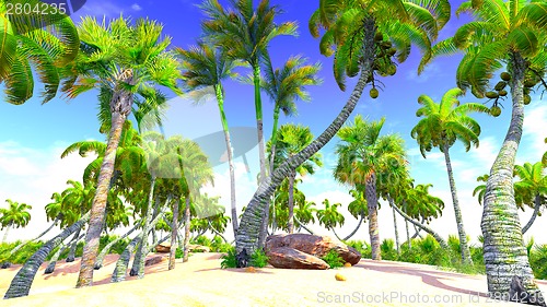 Image of Hawaiian paradise