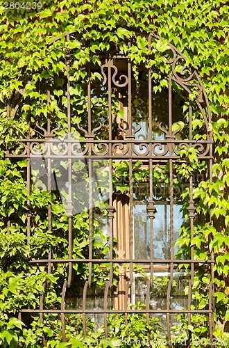 Image of Barred window