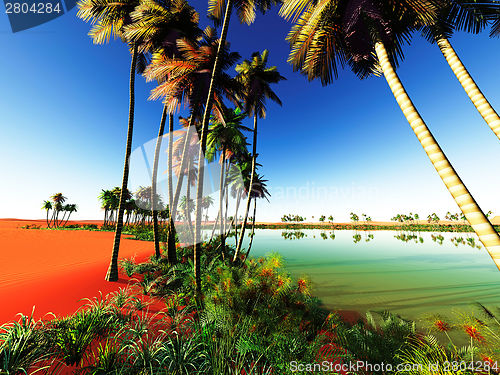 Image of African oasis
