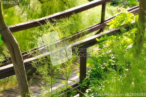 Image of Traditional japanese bridge