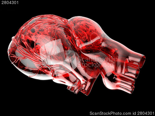 Image of Model of artificial human heart