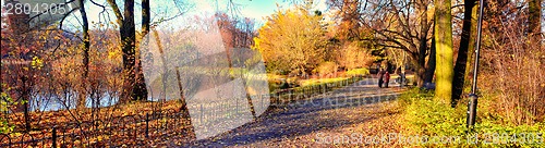 Image of Senior couple in the park