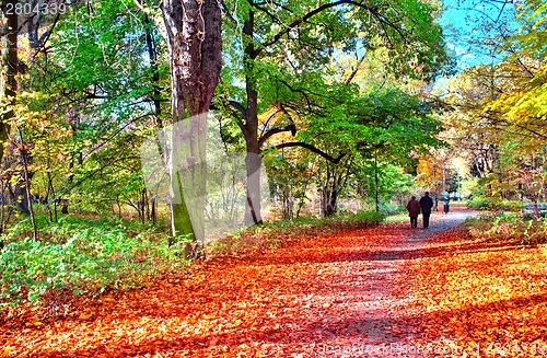 Image of Senior couple in the park