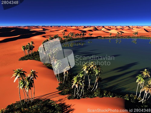 Image of African oasis