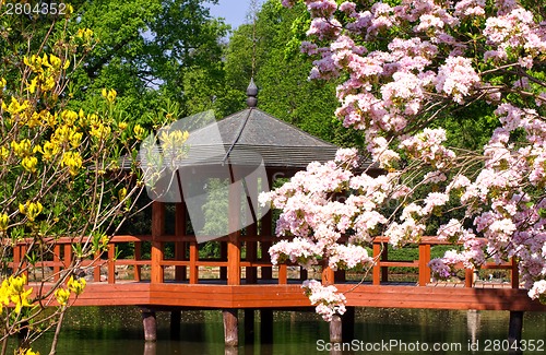 Image of Japanese pagoda