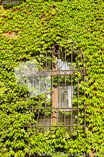 Image of Barred window