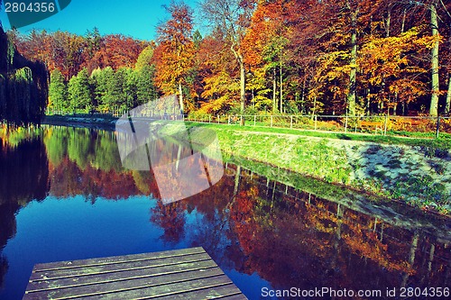 Image of Fall time in park