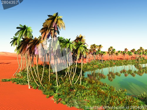Image of oasis