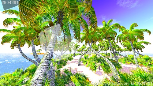 Image of Hawaiian paradise