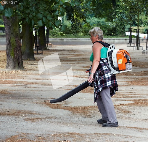 Image of Woman worker collecting fallen leaves