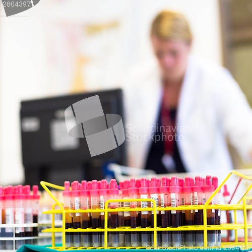 Image of Rack of tubes with blood samples.