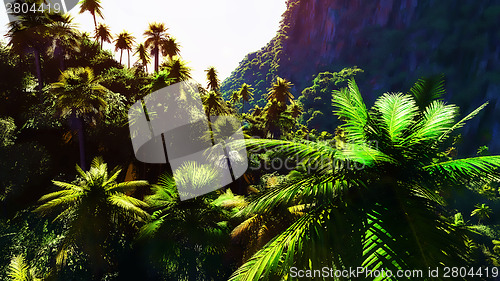 Image of Tropical landscape