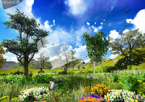 Image of Spring meadow