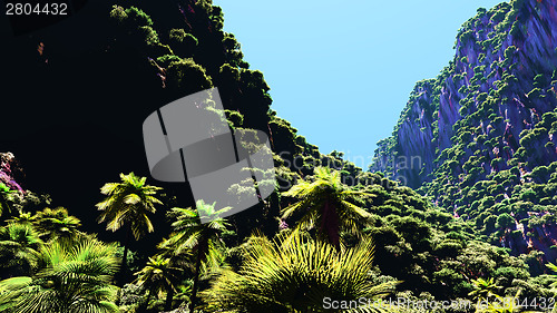 Image of Tropical landscape