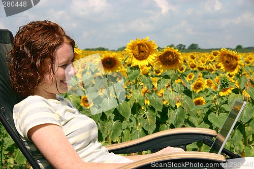 Image of Working by the Sunflowers