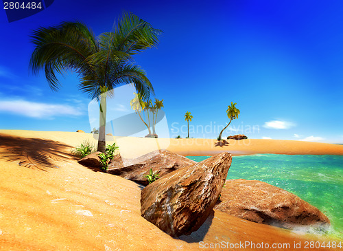 Image of Hawaiian paradise