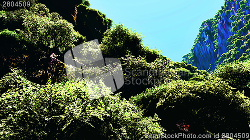 Image of Tropical landscape