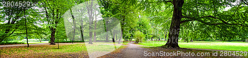 Image of Park in autumn time