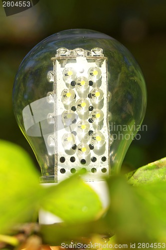 Image of Light bulb held in palm