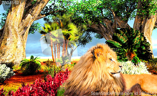 Image of Lion rersting in savannah