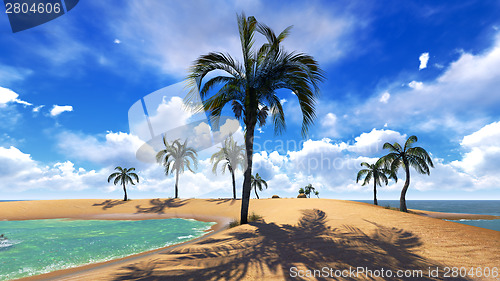 Image of Hawaiian paradise