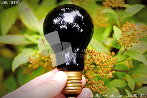 Image of Light bulb held in palm