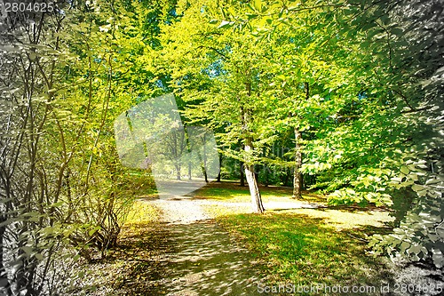 Image of Park in fall time