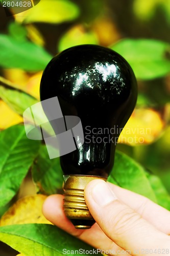 Image of Light bulb held in palm