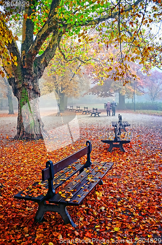 Image of Senior couple in the park