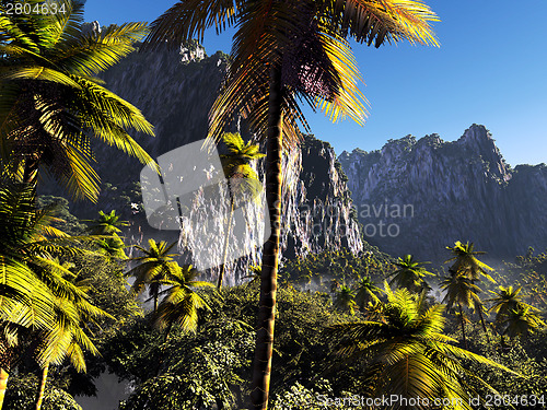 Image of Tropical landscape