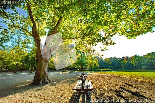 Image of Park in fall time