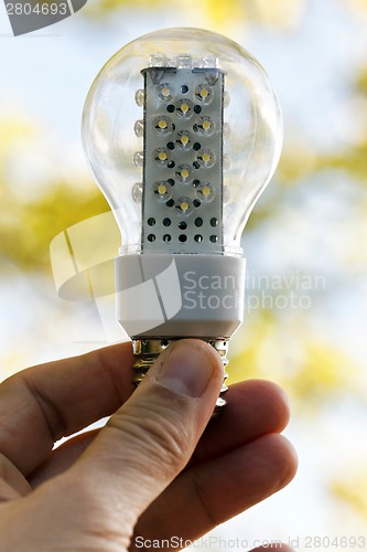 Image of Light bulb held in palm