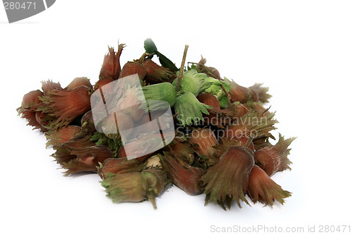 Image of Nuts