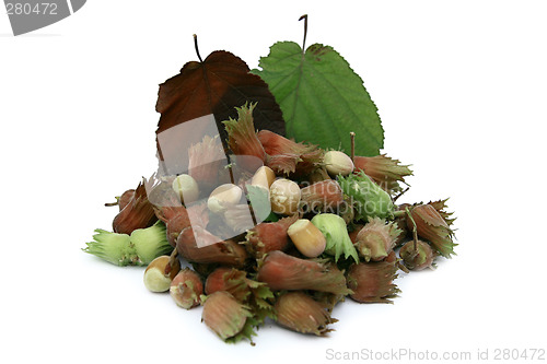 Image of Nuts