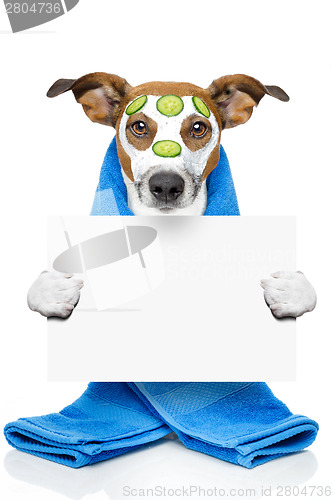 Image of dog with a beauty mask