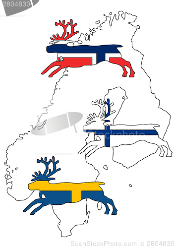 Image of Scandinavian reindeers