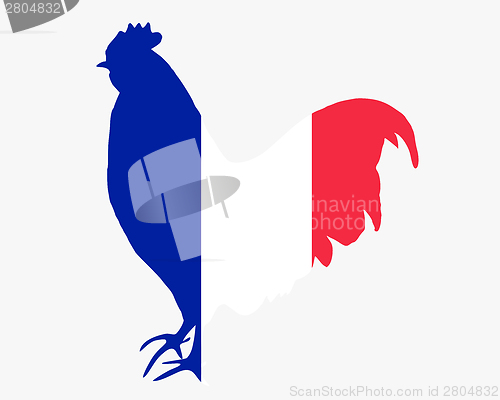 Image of French cock