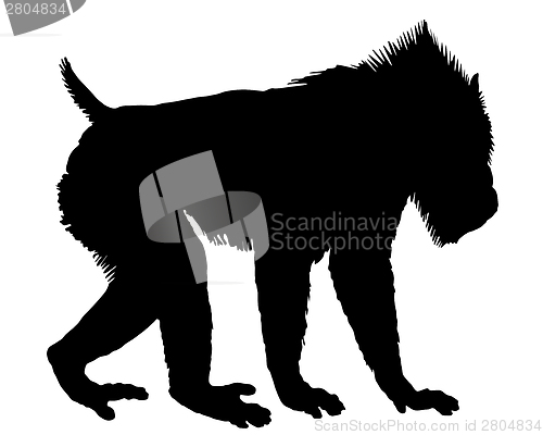 Image of Mandrill silhouette