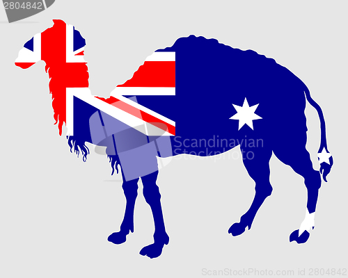 Image of Flag of Australia with camel