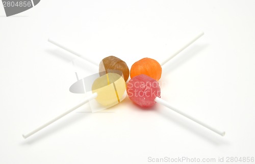 Image of Lolly 