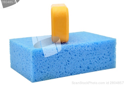 Image of Sponge and soap