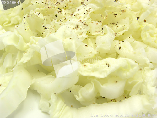 Image of Close-up view on chinese cabbage with pepper