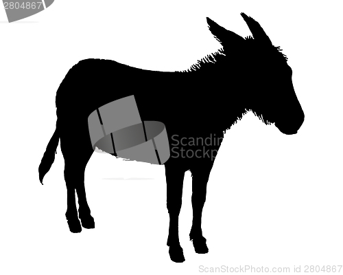 Image of The black silhouette of a donkey on white 